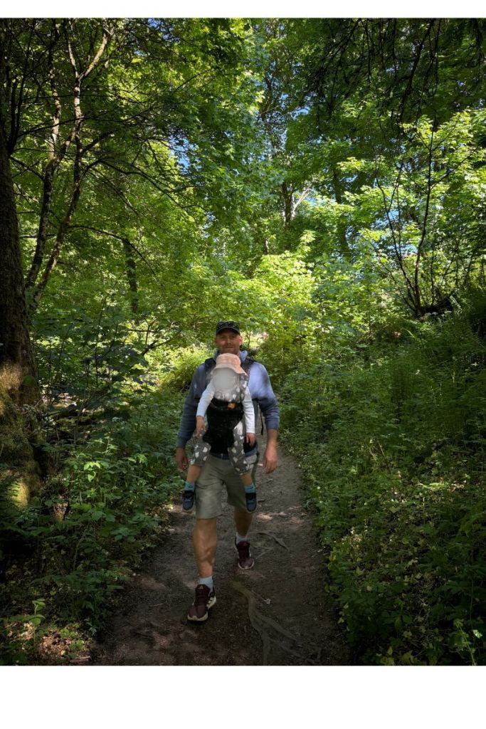 Exploring woodland trails with our trusty toddler carrier Toddler being carried through woodland trail in a hiking carrier