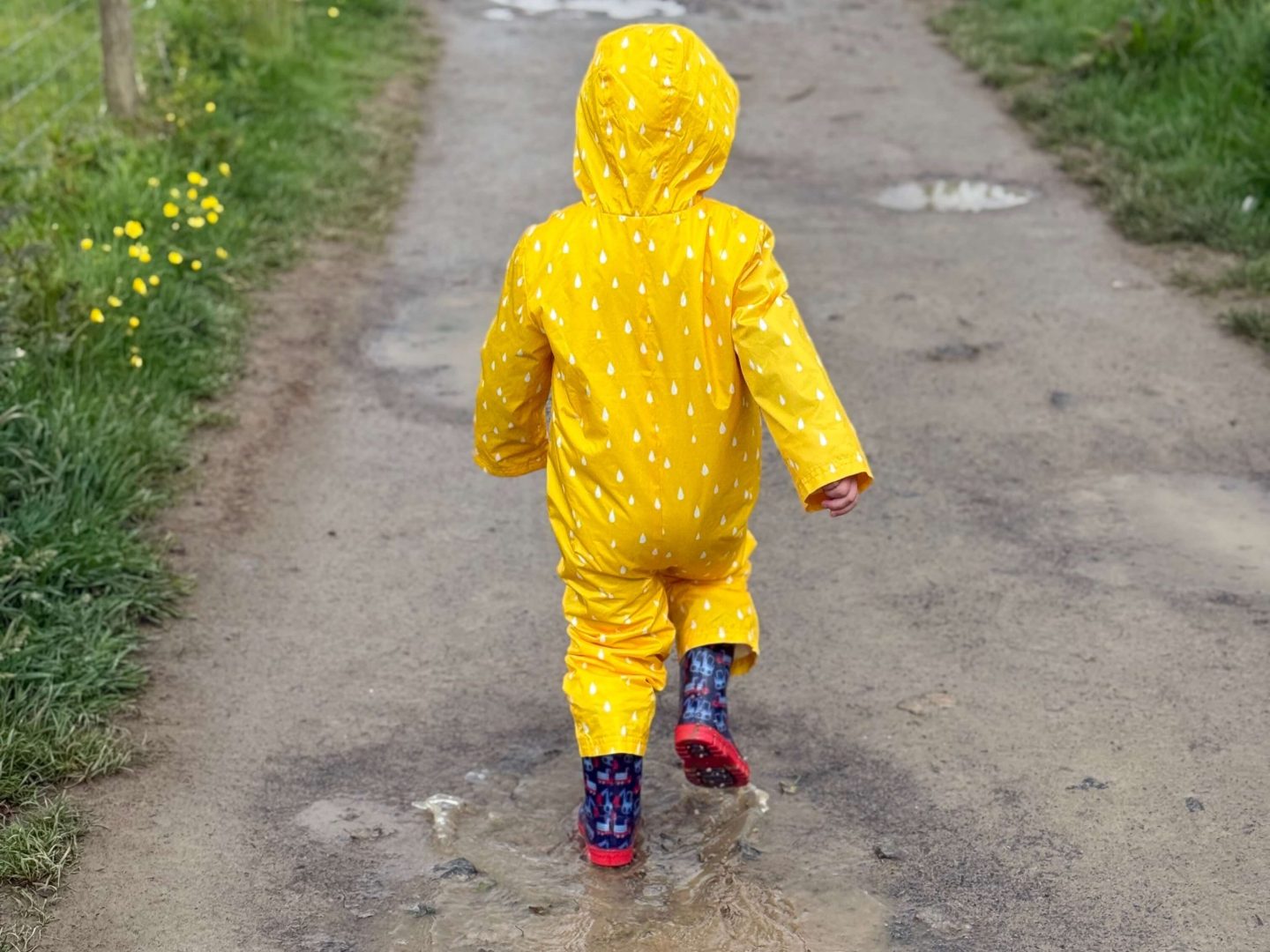 Puddle Van Is van life worth it? The truth from the road – Roaming with the Ricks